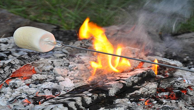 Vacation Property Rentals - Fire Pit and Marshmallow (620x352)
