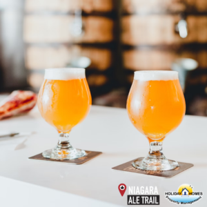 Two glasses of artisanal craft beer on a wooden table in a taproom, illuminated by sunlight, showcasing their rich color and inviting haze